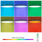 RGB LED Ceiling Light