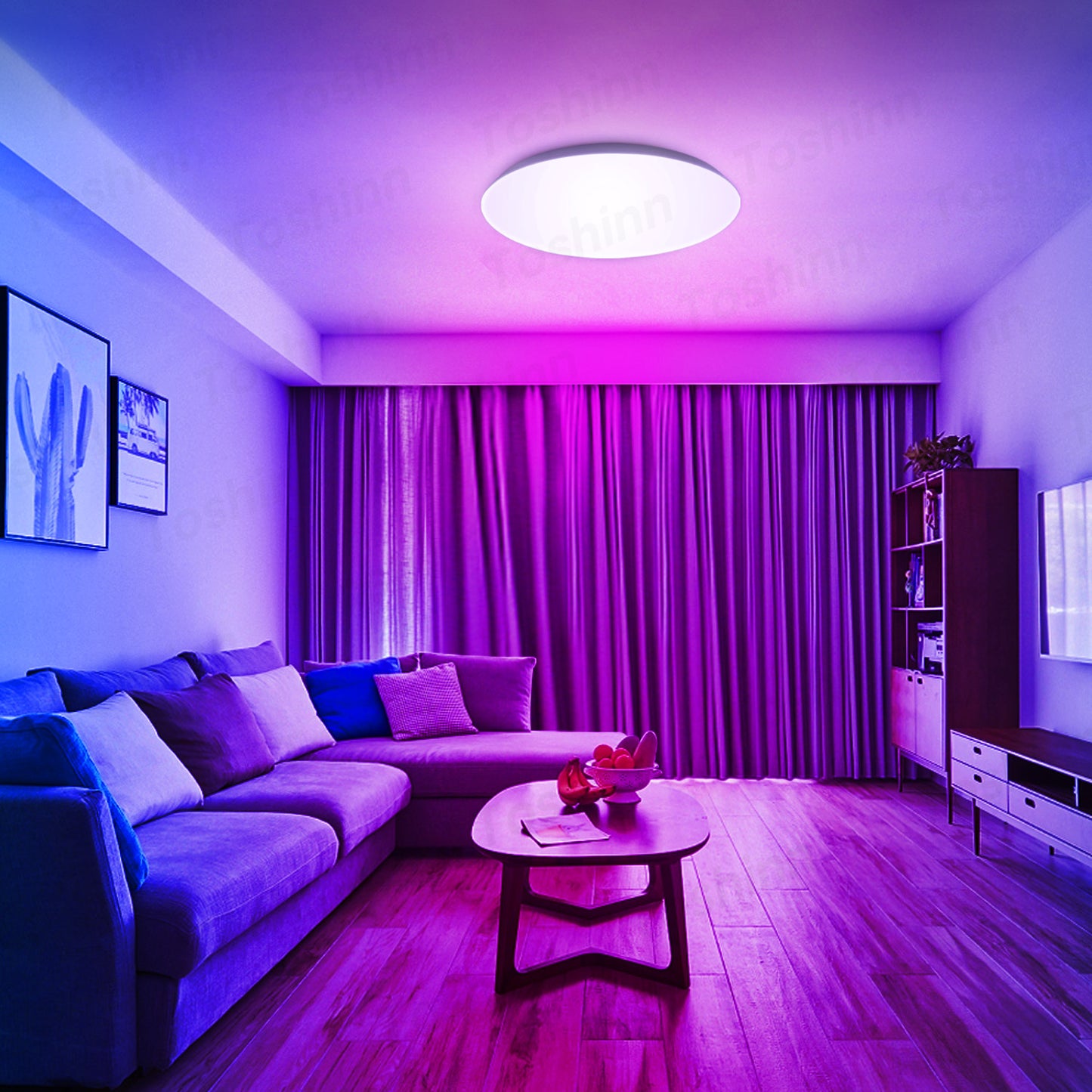 RGB LED Ceiling Light