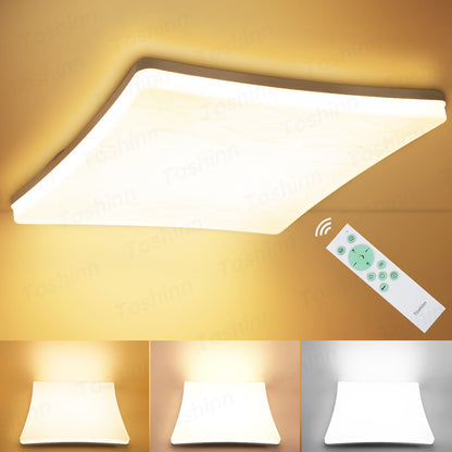 LED ceiling light—Square