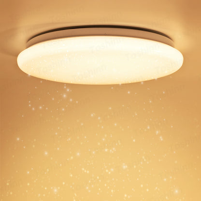 LED Ceiling Light-Star version