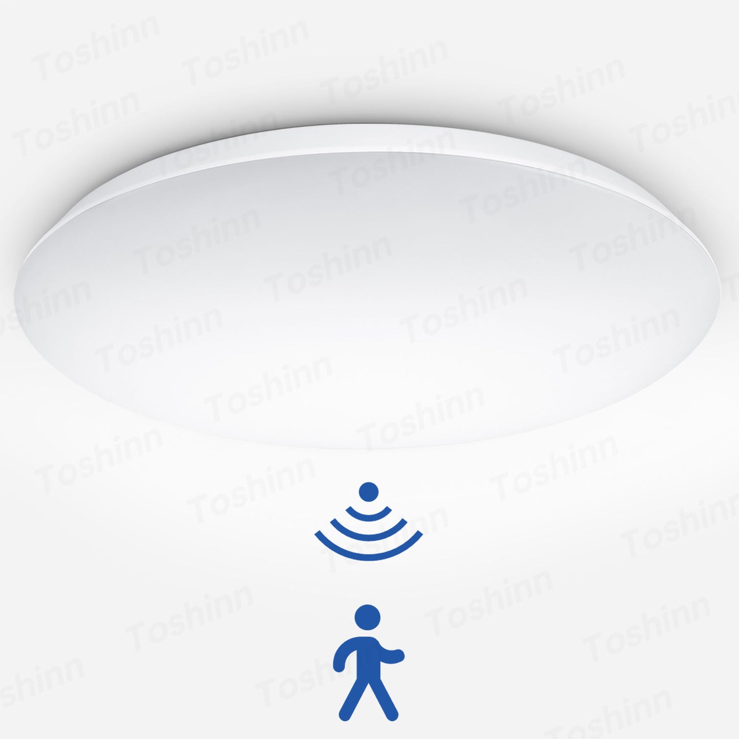 Induction LED Ceiling Light