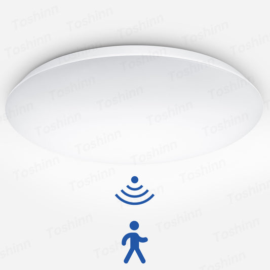 Induction LED Ceiling Light