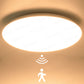 Induction LED Ceiling Light